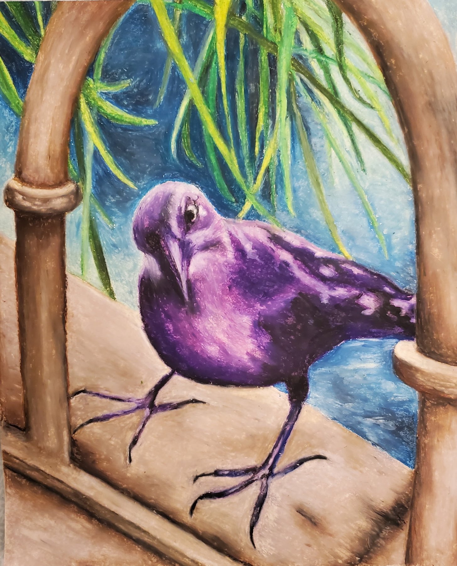 Oil pastel drawing of a purple grackle perched in a window arch